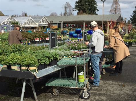 flower world in woodinville